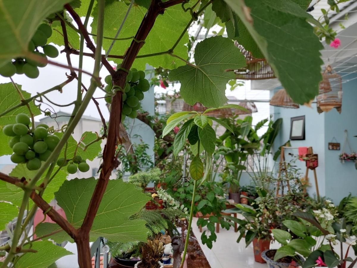 Alley Homestay Hanoi Eksteriør billede